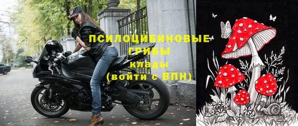 прущий лед Няндома