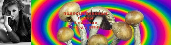 дурь Алзамай