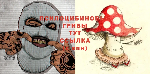 бошки Алексин